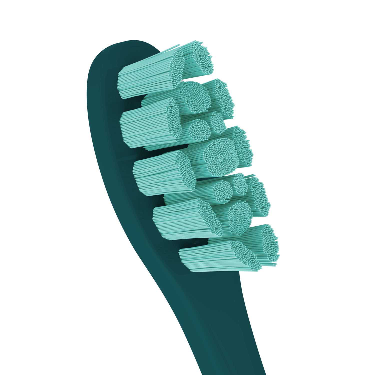 Сменные зубные щетки Oclean PW09 Green (2 шт.) заказать