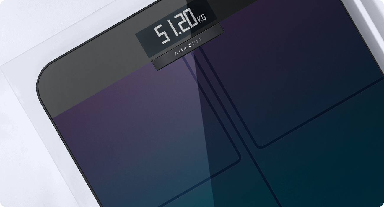 Цена Умные весы Xiaomi Amazfit Smart Scale