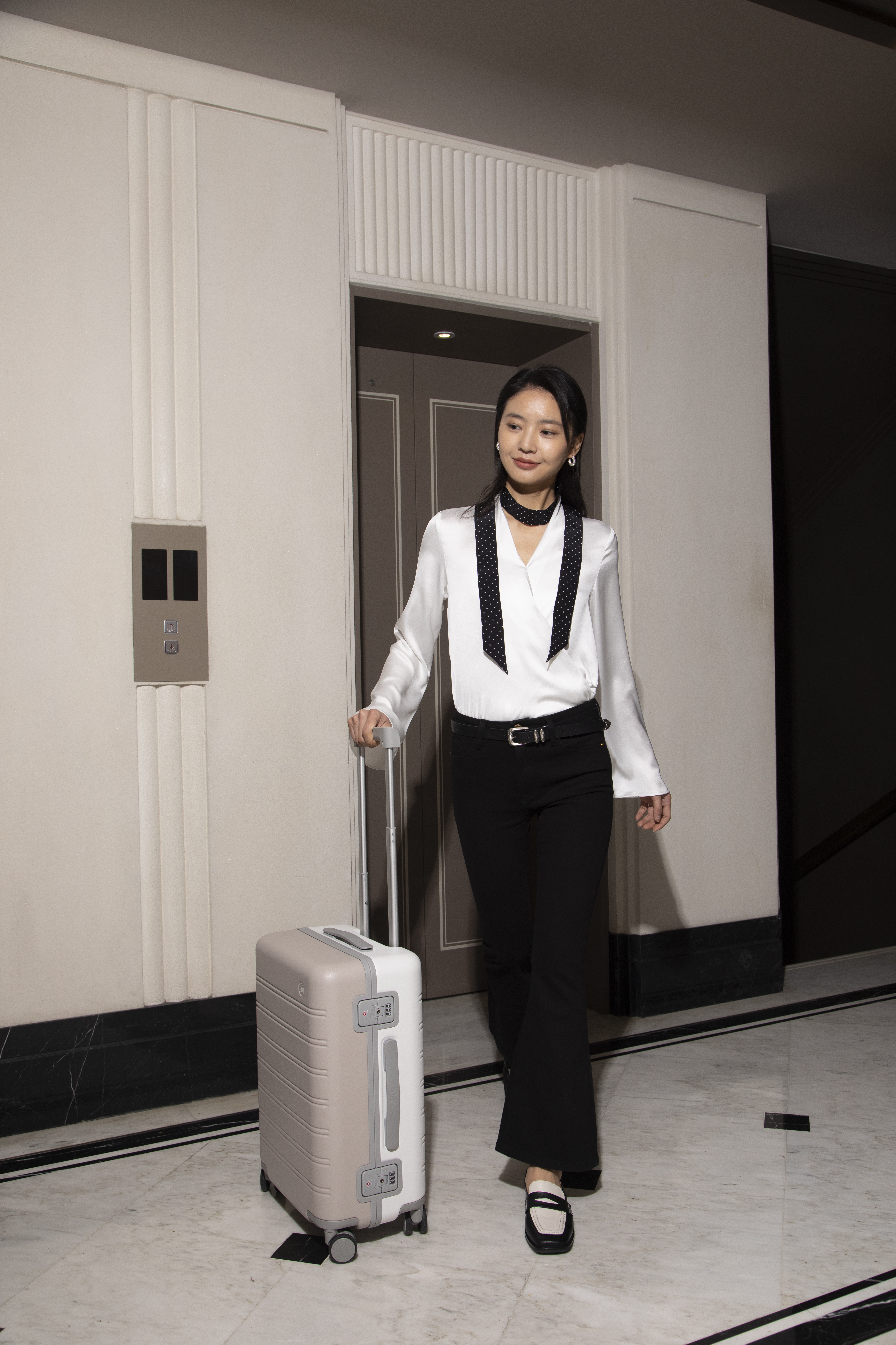 Купить Чемодан Xiaomi NinetyGo Rhine Luggage 28'' Moonlight White+Mocha Brown