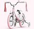Велосипед детский Xiaomi Ninebot Kid Bike 14" Pink