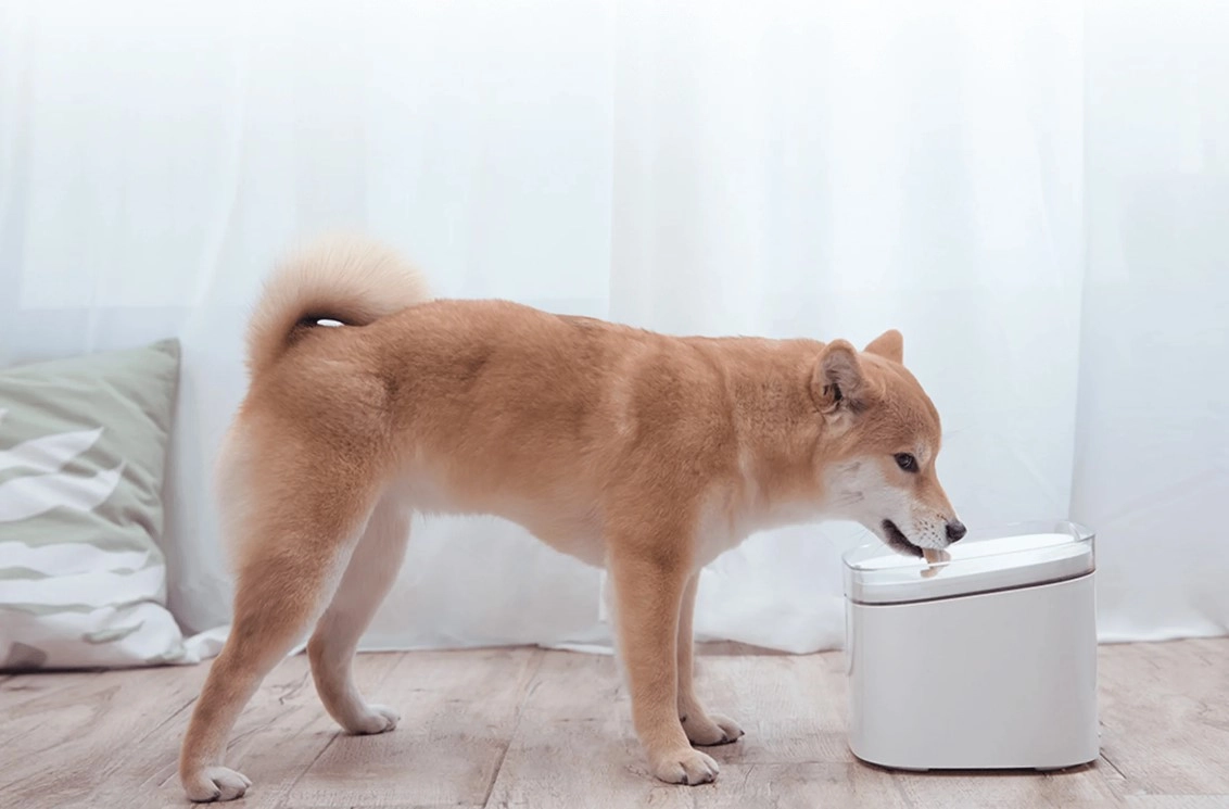 Купить Диспенсер воды для животных Xiaomi Smart Pet Fountain (BHR6161EU)
