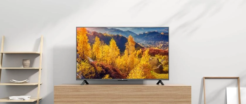 Купить Телевизор Xiaomi Mi TV 4C 55" 2+8Gb